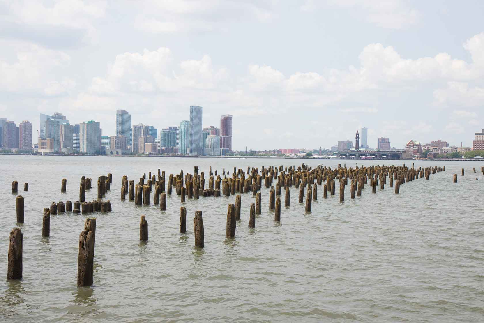 pile fields at the Hudson River