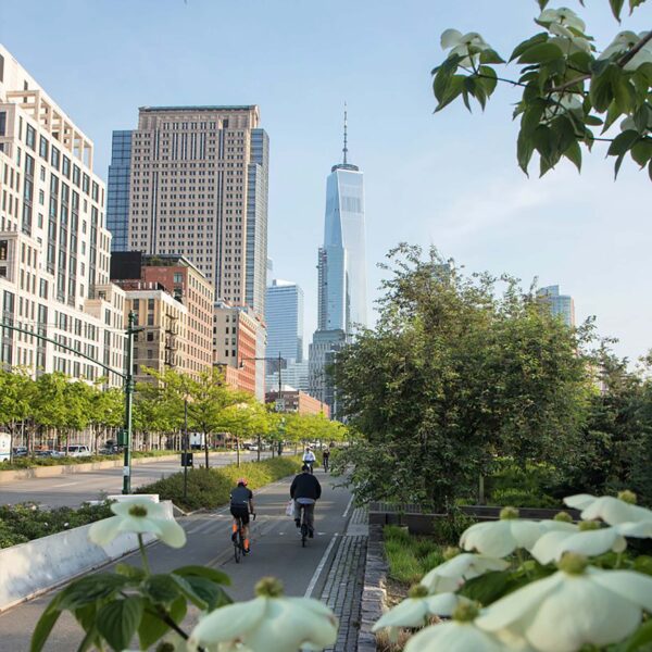 An image of the bikeway in tribeca with white flowers popping out of the trees